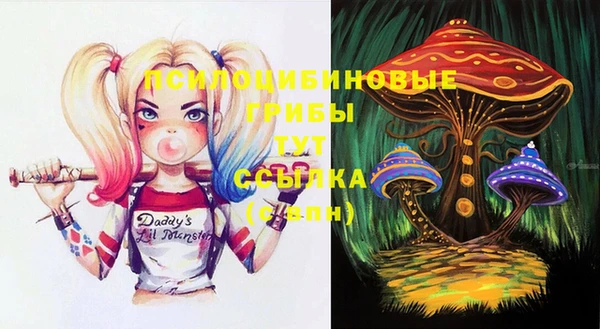 стафф Белокуриха